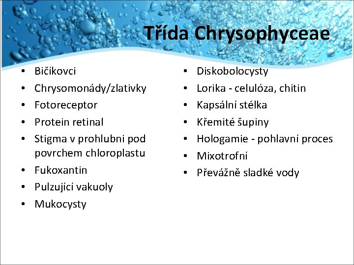 Třída Chrysophyceae Bičíkovci Chrysomonády/zlativky Fotoreceptor Protein retinal Stigma v prohlubni pod povrchem chloroplastu •