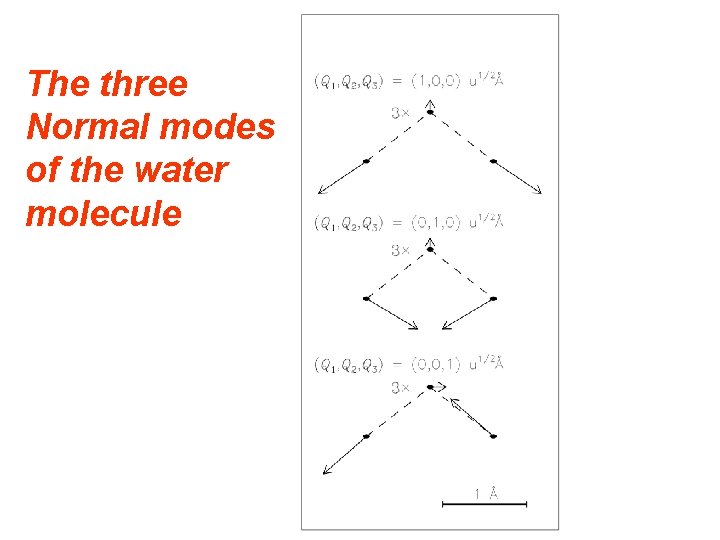 The three Normal modes of the water molecule 