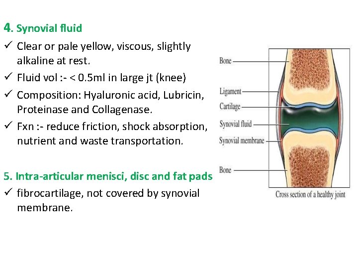 4. Synovial fluid Clear or pale yellow, viscous, slightly alkaline at rest. Fluid vol