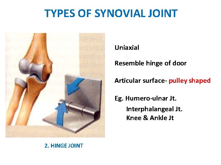 TYPES OF SYNOVIAL JOINT Uniaxial Resemble hinge of door Articular surface- pulley shaped Eg.