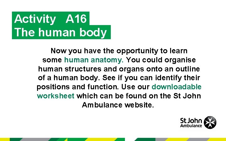 Activity A 16 The human body Now you have the opportunity to learn some