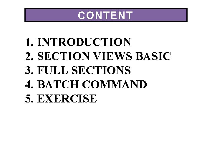 CONTENT 1. INTRODUCTION 2. SECTION VIEWS BASIC 3. FULL SECTIONS 4. BATCH COMMAND 5.
