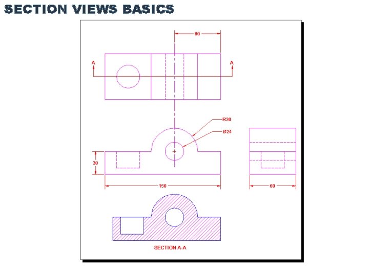 SECTION VIEWS BASICS 