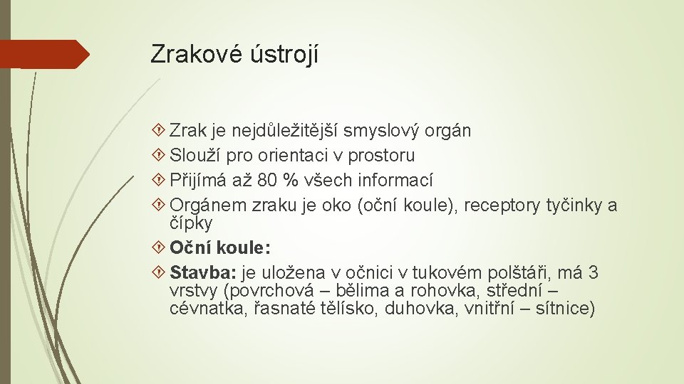 Zrakové ústrojí Zrak je nejdůležitější smyslový orgán Slouží pro orientaci v prostoru Přijímá až