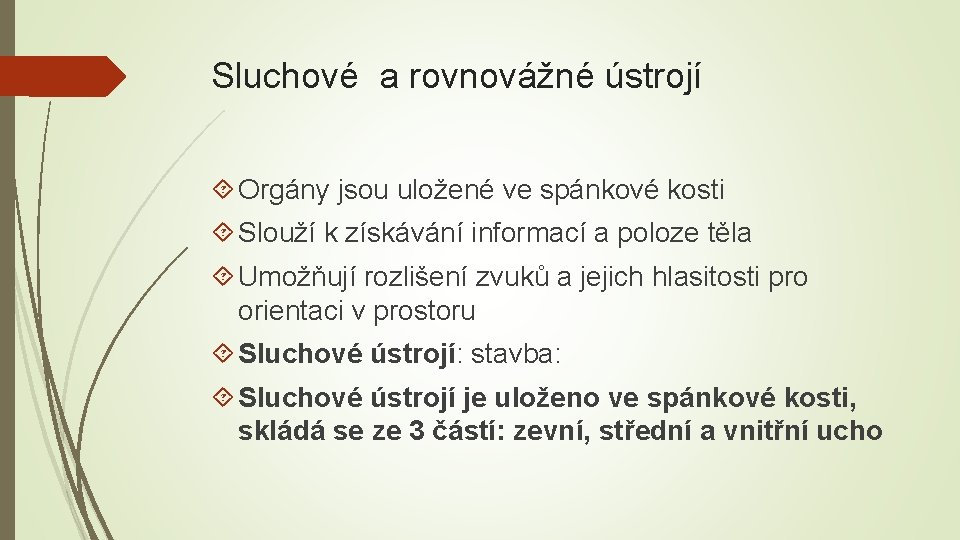 Sluchové a rovnovážné ústrojí Orgány jsou uložené ve spánkové kosti Slouží k získávání informací