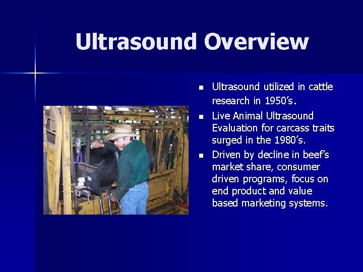 Ultrasound Overview n n n Ultrasound utilized in cattle research in 1950’s. Live Animal