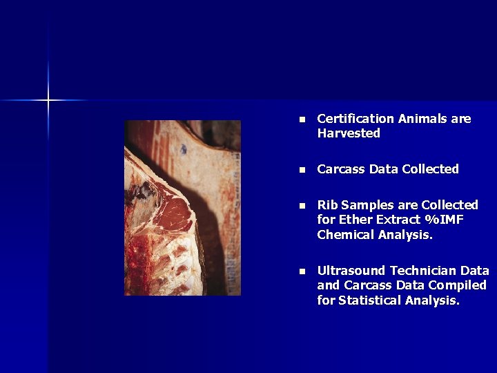 n Certification Animals are Harvested n Carcass Data Collected n Rib Samples are Collected