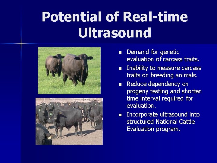 Potential of Real-time Ultrasound n n Demand for genetic evaluation of carcass traits. Inability