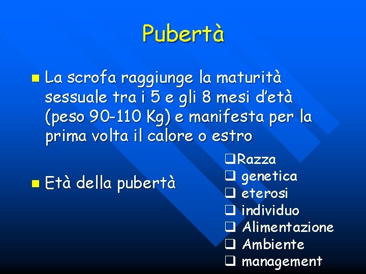 Pubertà n n La scrofa raggiunge la maturità sessuale tra i 5 e gli