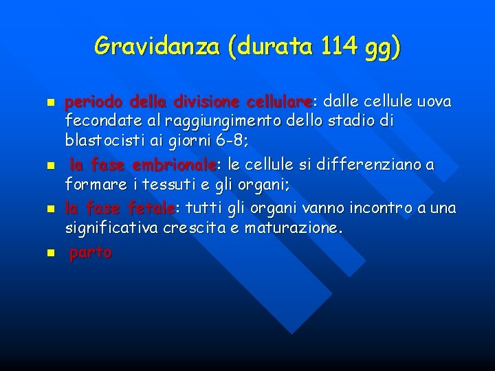 Gravidanza (durata 114 gg) n n periodo della divisione cellulare: dalle cellule uova fecondate