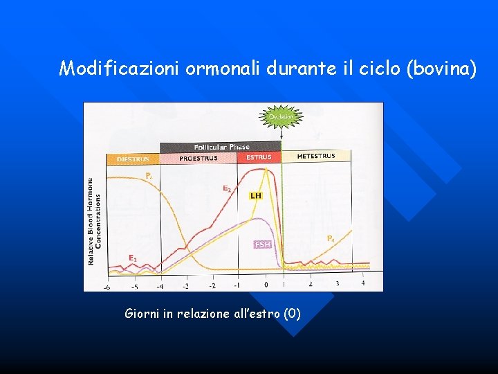 Modificazioni ormonali durante il ciclo (bovina) Giorni in relazione all’estro (0) 