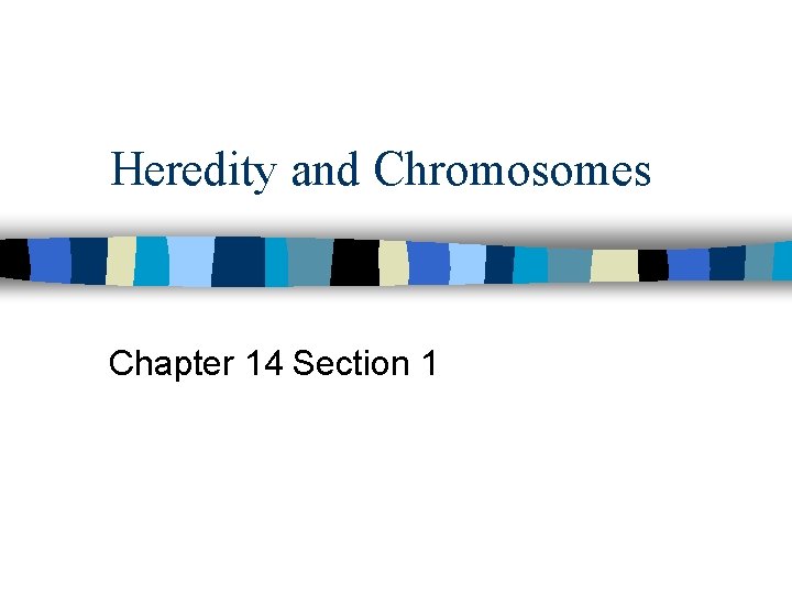 Heredity and Chromosomes Chapter 14 Section 1 