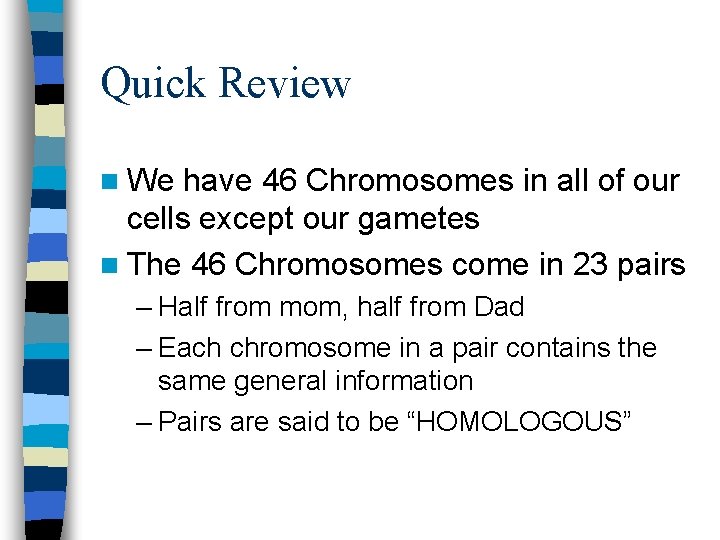 Quick Review n We have 46 Chromosomes in all of our cells except our