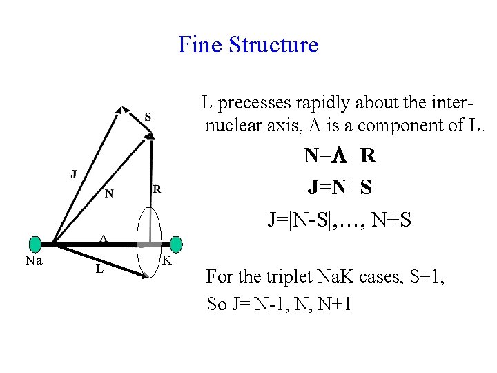 Fine Structure L precesses rapidly about the internuclear axis, is a component of L. Fine Structure L precesses rapidly about the internuclear axis, is a component of L.