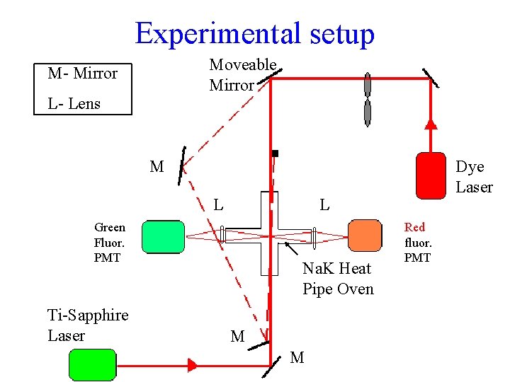 Experimental setup Moveable Mirror M- Mirror L- Lens M L L Green Fluor. PMT Experimental setup Moveable Mirror M- Mirror L- Lens M L L Green Fluor. PMT
