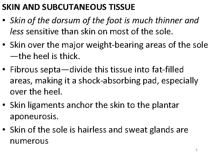 SKIN AND SUBCUTANEOUS TISSUE • Skin of the dorsum of the foot is much