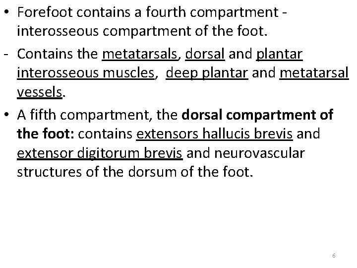  • Forefoot contains a fourth compartment interosseous compartment of the foot. - Contains