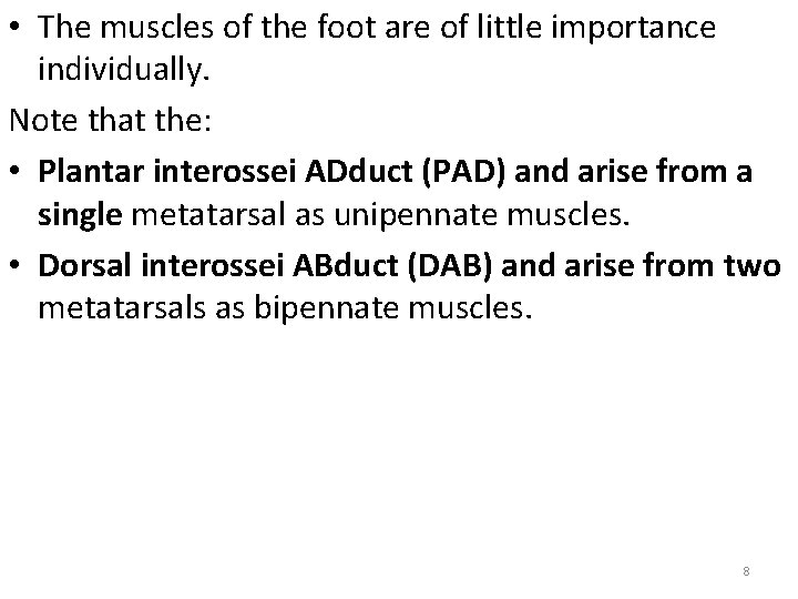  • The muscles of the foot are of little importance individually. Note that