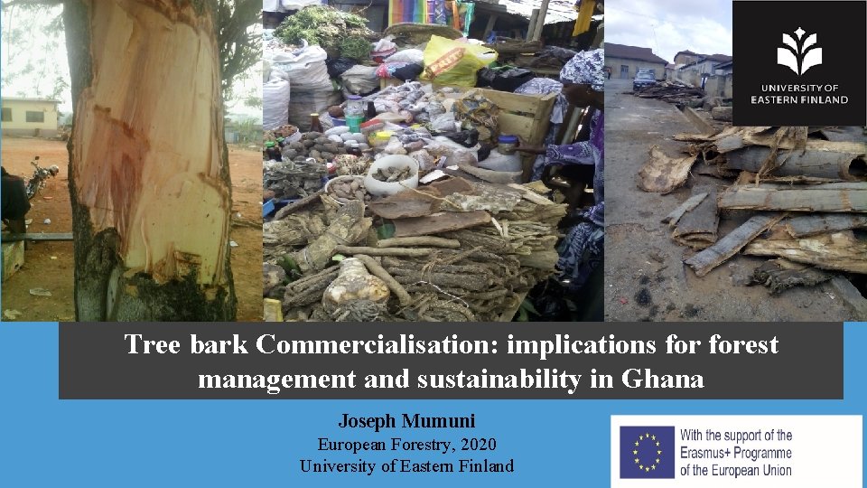 Tree bark Commercialisation: implications forest management and sustainability in Ghana Joseph Mumuni European Forestry,
