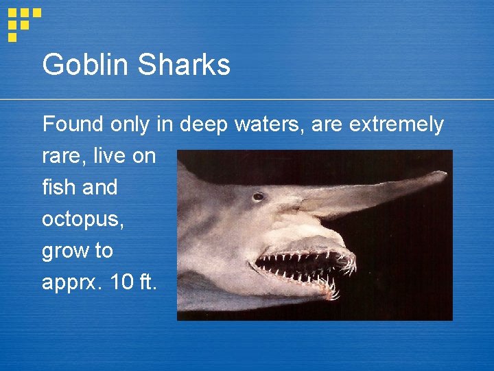 Goblin Sharks Found only in deep waters, are extremely rare, live on fish and