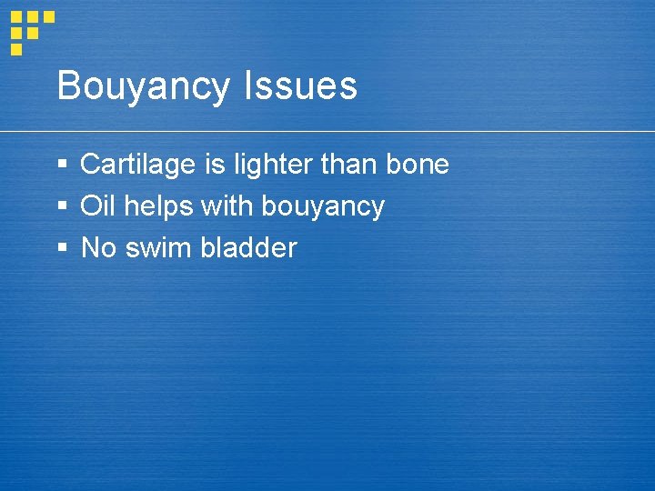 Bouyancy Issues § Cartilage is lighter than bone § Oil helps with bouyancy §