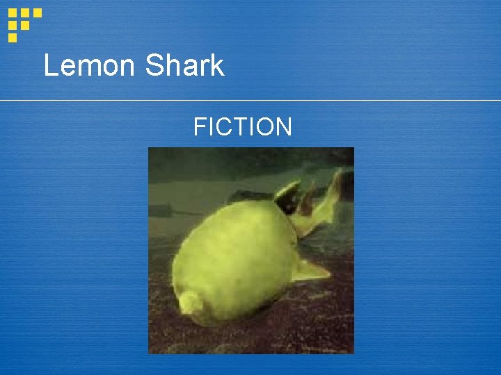 Lemon Shark FICTION 