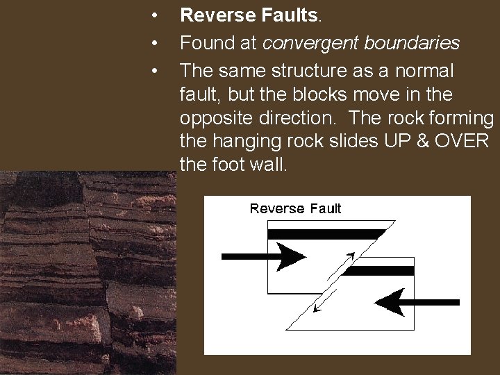  • • • Reverse Faults. Found at convergent boundaries The same structure as