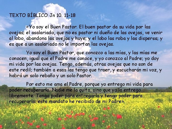 TEXTO BÍBLICO Jn 10. 11 -18 «Yo soy el Buen Pastor. El buen pastor