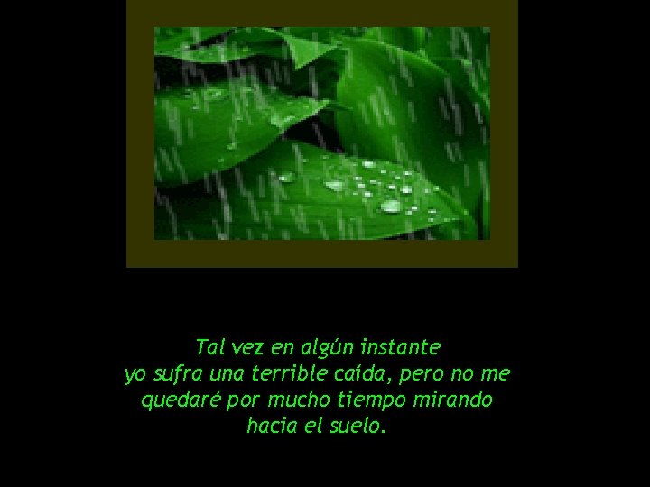 Tal vez en algún instante yo sufra una terrible caída, pero no me quedaré