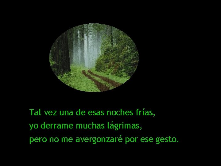 Tal vez una de esas noches frías, yo derrame muchas lágrimas, pero no me