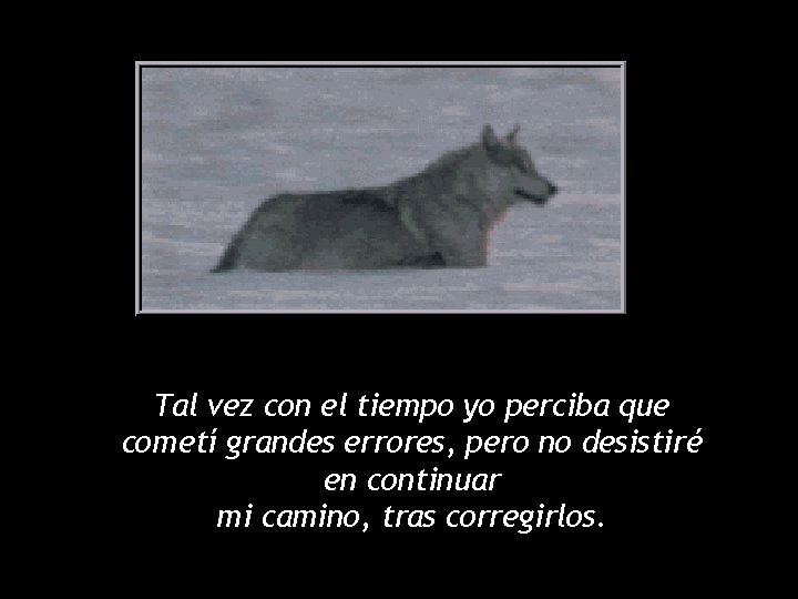 Tal vez con el tiempo yo perciba que cometí grandes errores, pero no desistiré