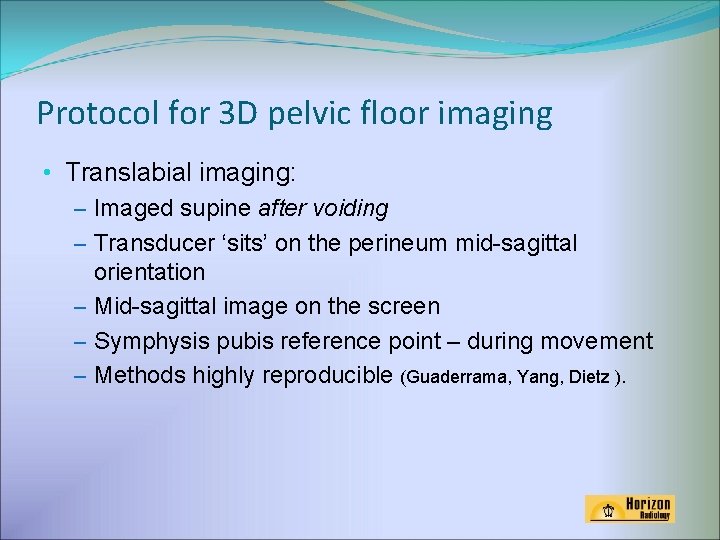 Protocol for 3 D pelvic floor imaging • Translabial imaging: – Imaged supine after