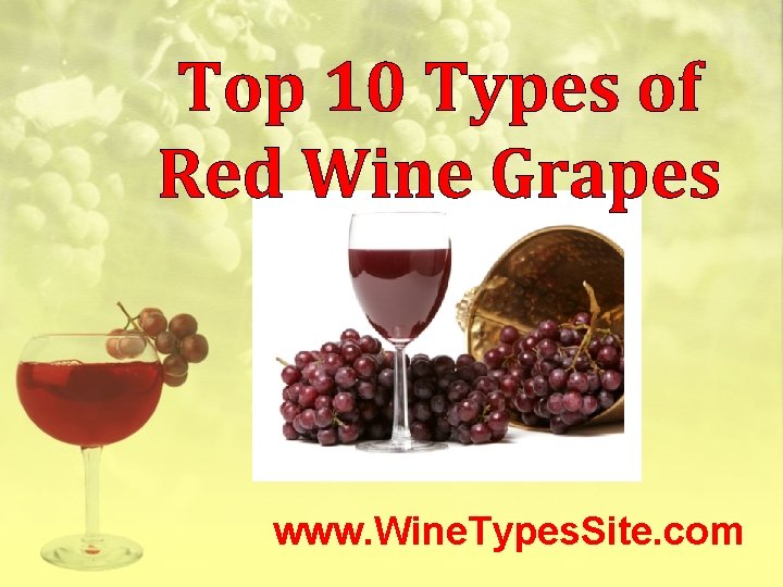 Top 10 Types of Red Wine Grapes www. Wine. Types. Site. com 