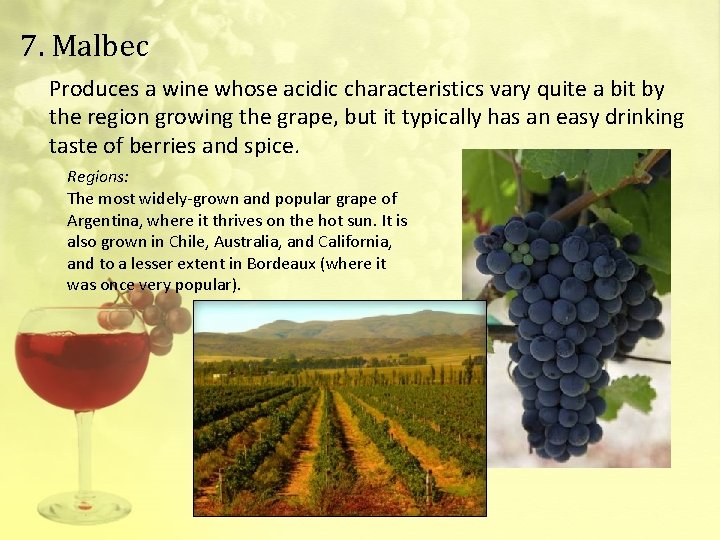 7. Malbec Produces a wine whose acidic characteristics vary quite a bit by the