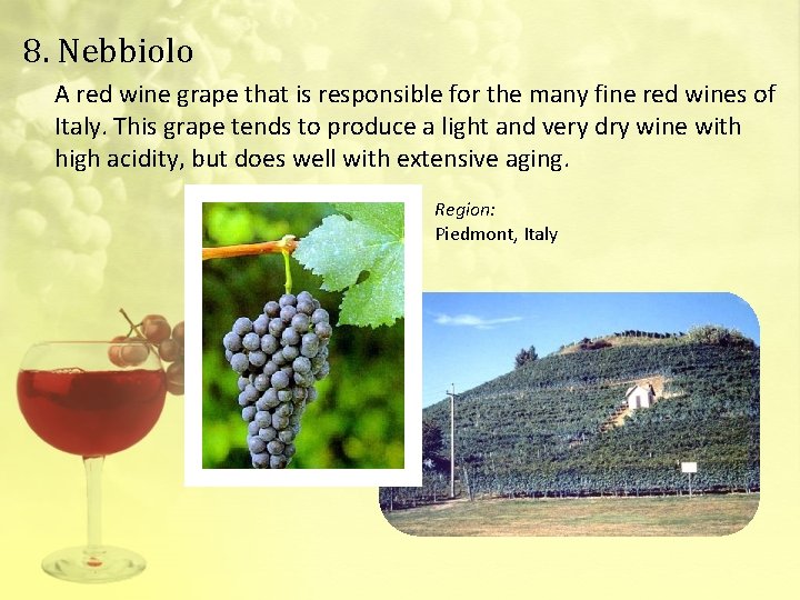 8. Nebbiolo A red wine grape that is responsible for the many fine red