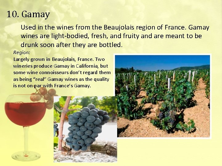 10. Gamay Used in the wines from the Beaujolais region of France. Gamay wines