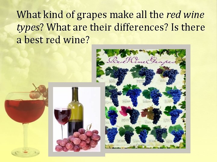 What kind of grapes make all the red wine types? What are their differences?