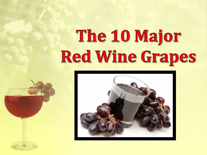 The 10 Major Red Wine Grapes 