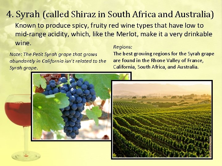 4. Syrah (called Shiraz in South Africa and Australia) Known to produce spicy, fruity