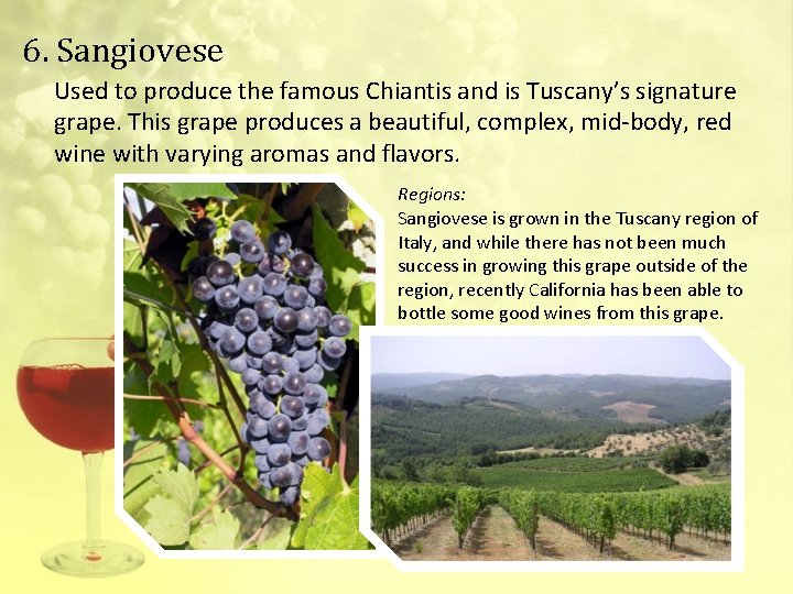 6. Sangiovese Used to produce the famous Chiantis and is Tuscany’s signature grape. This