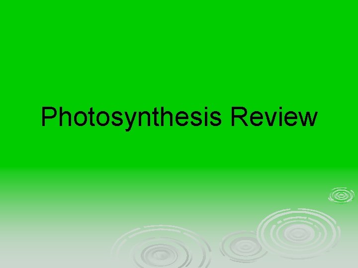 Photosynthesis Review 