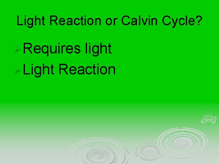 Light Reaction or Calvin Cycle? ØRequires light ØLight Reaction 