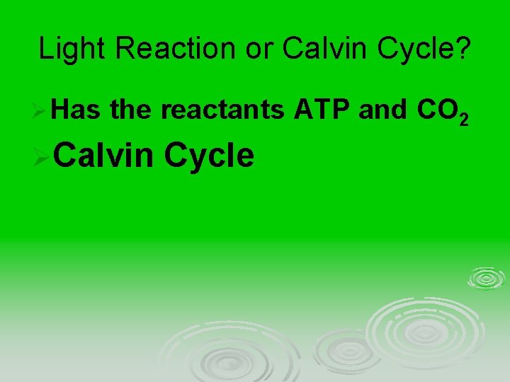 Light Reaction or Calvin Cycle? Ø Has the reactants ATP and CO 2 ØCalvin