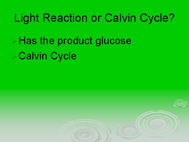 Light Reaction or Calvin Cycle? Ø Has the product glucose Ø Calvin Cycle 