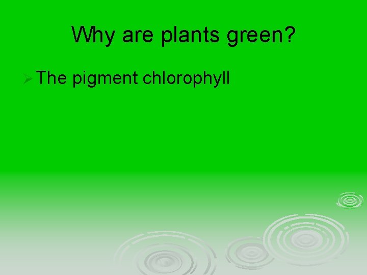 Why are plants green? Ø The pigment chlorophyll 