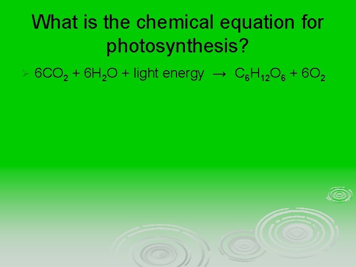 What is the chemical equation for photosynthesis? Ø 6 CO 2 + 6 H