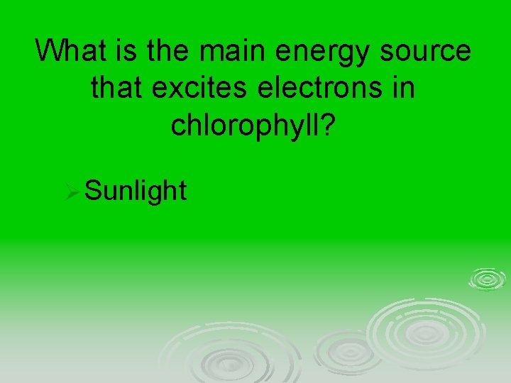 What is the main energy source that excites electrons in chlorophyll? Ø Sunlight 