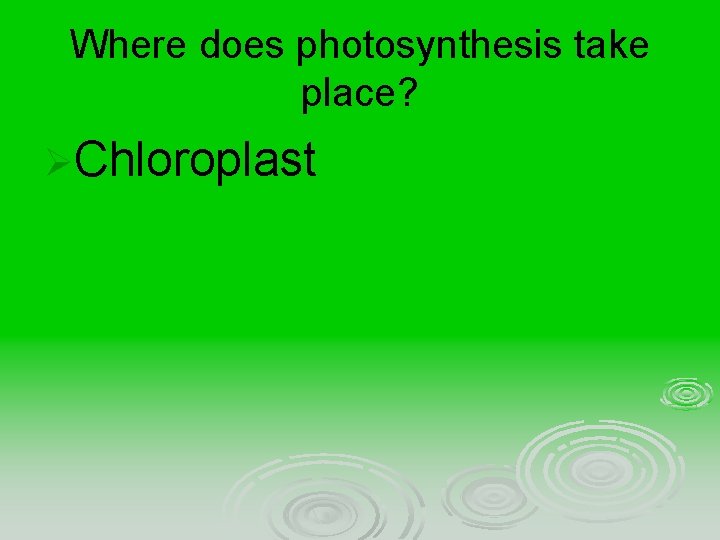 Where does photosynthesis take place? ØChloroplast 