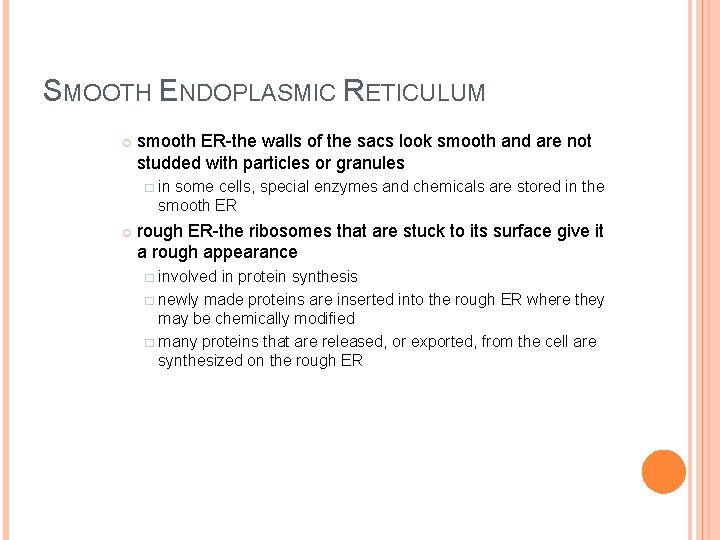 SMOOTH ENDOPLASMIC RETICULUM smooth ER-the walls of the sacs look smooth and are not