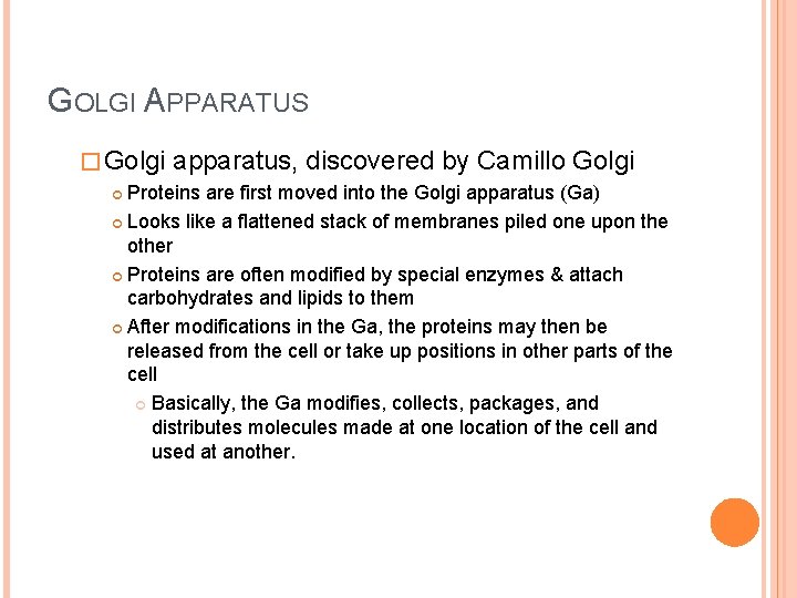 GOLGI APPARATUS � Golgi apparatus, discovered by Camillo Golgi Proteins are first moved into